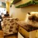 Kafe Kucing di Dubai, Tempat Bagi Para Kucing Liar
