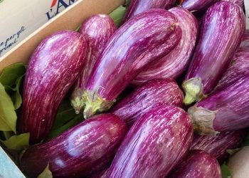 3 Cara Mengolah Terong yang Salah