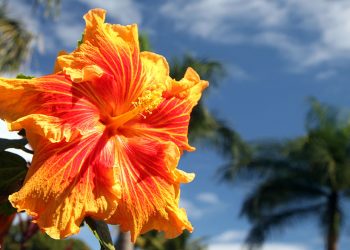 64 Dosa-Dosa yang Dianggap Biasa