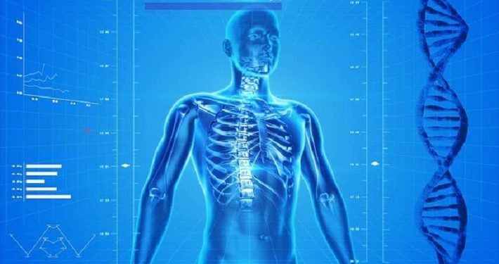 Yuk Ketahui Organ Tubuh Utama Sesuai Mesin Kecerdasanmu