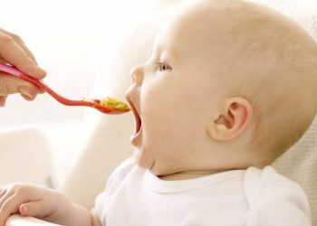 Panduan Dasar MPASI Bayi 6-8 Bulan