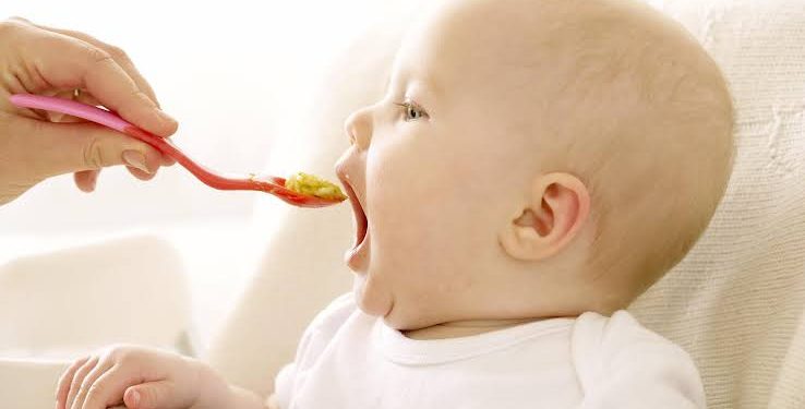 Panduan Dasar MPASI Bayi 6-8 Bulan