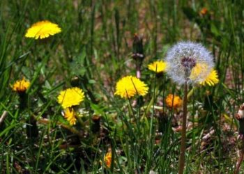 Sikap Istri Ketika Suami Suka Pacaran dan Main Game