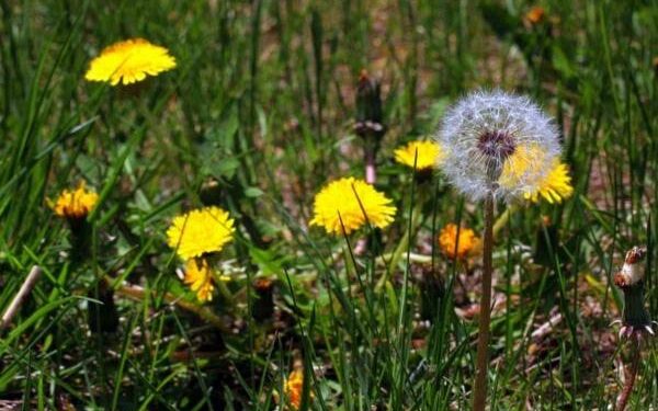 Sikap Istri Ketika Suami Suka Pacaran dan Main Game