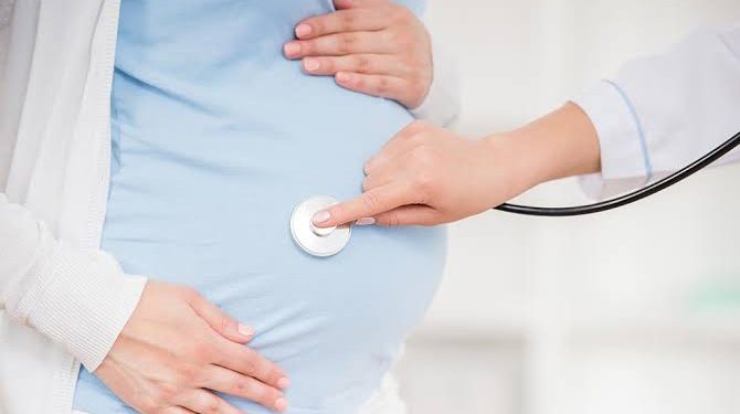 Pentingnya Zat Besi bagi Ibu Hamil