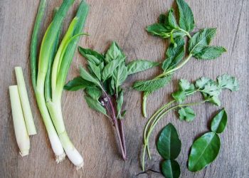 Tips Dapur CMM: 5 Daun Aromatik khas Indonesia