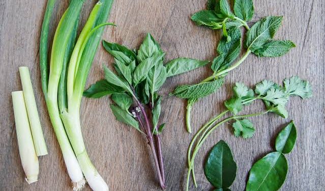 Tips Dapur CMM: 5 Daun Aromatik khas Indonesia