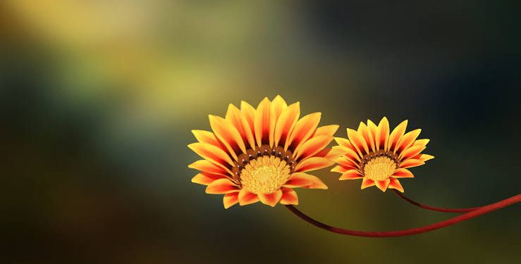 13 Cara Suami Istri Meraih Keberuntungan di Dunia dan Akhirat