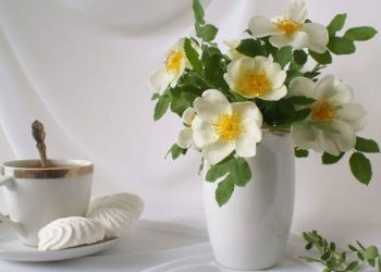 Sabar dan Syukur Sifat Keluarga Sakinah