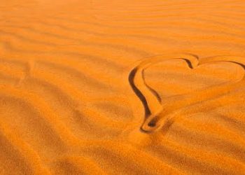 Kisah Ali dan Pemuda yang Sedang Jatuh Cinta