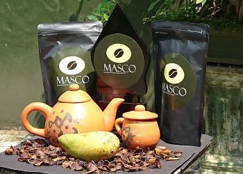 Mengenal Kopi Kulit Mangga Buatan Mahasiswa Indonesia