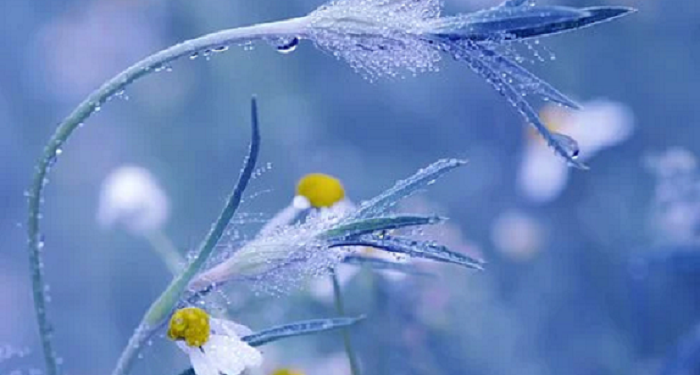 Surah An-Naba’ Ayat 1-16, Terjemahan dan Tafsirnya