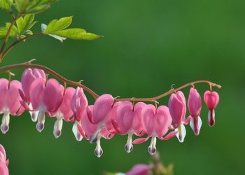 Tantangan dalam Rumah Tangga