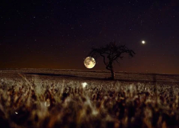 10 Sahabat Nabi yang Dijanjikan Masuk Surga