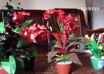 Sulap Kantong Plastik jadi Bunga Cantik