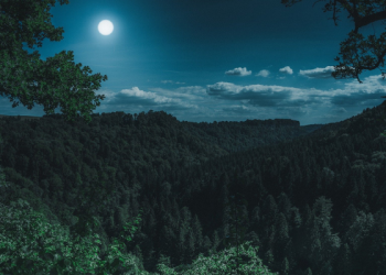 Bulan Ramadan, Bulan Memulai Kehidupan Baru