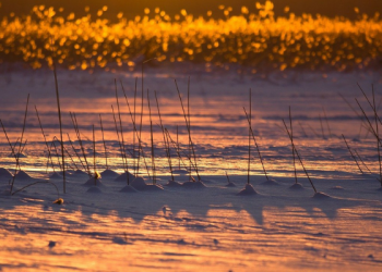 Pengalaman Berpuasa 22 Jam di Finlandia