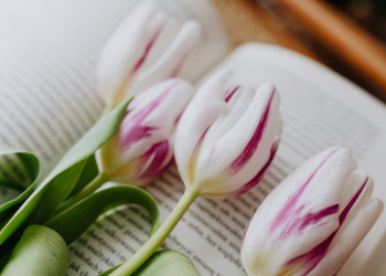 Tarbiyah Jinsiyah, Pendidikan Seks dalam Islam