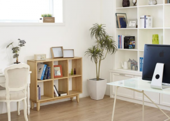 Tips Mempercantik Rak Buku