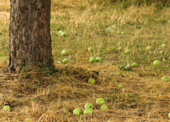 Bersabar dalam Mencari Rezeki