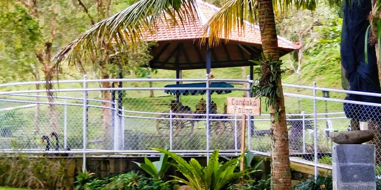 Candaka Puri, Puri Berkonsep Alam Terbuka di Bogor