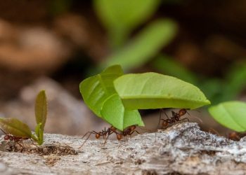 Menghargai Kontribusi Orang lain Sekecil Apapun
