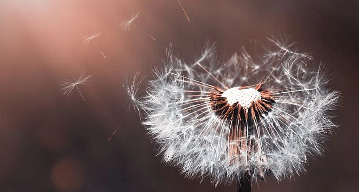 Kisah Rasulullah Menikah dengan Aisyah ra.