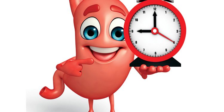 Ketahui Jam Kerja Biologis Organ Tubuh Manusia