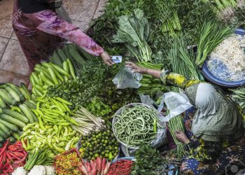 Betapa Besarnya Pahala Istri Orang Indonesia