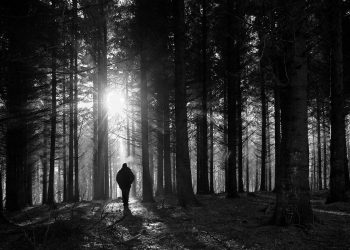 Ternyata, Jin Juga Takut dengan Manusia