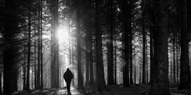 Ternyata, Jin Juga Takut dengan Manusia