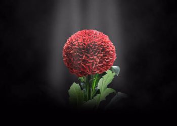 Membangun Keluarga Sakinah Tanpa Amarah