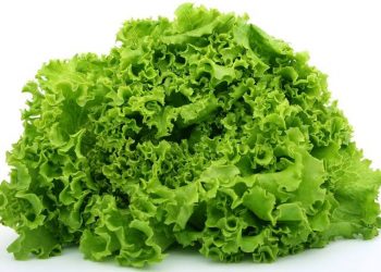 Cerahkan Kulit Wajah dengan Masker Selada