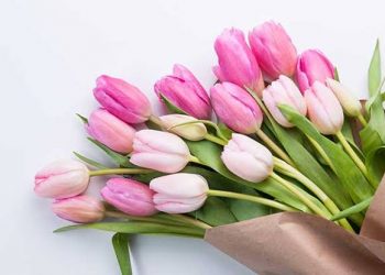 Istri Salehah Pandai Menjaga Lisan