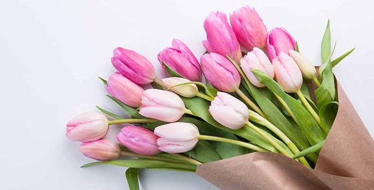 Istri Salehah Pandai Menjaga Lisan