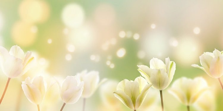 Mengenal Sosok Muslimah Visioner Lubna Al-Qordoba