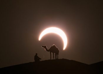 Kisah Rasulullah Membangun Masjid Nabawi