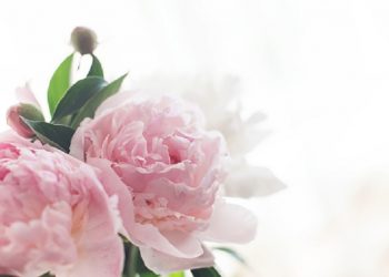 Inspirasi Dari Wanita Hebat Ibunda Al-Fatih