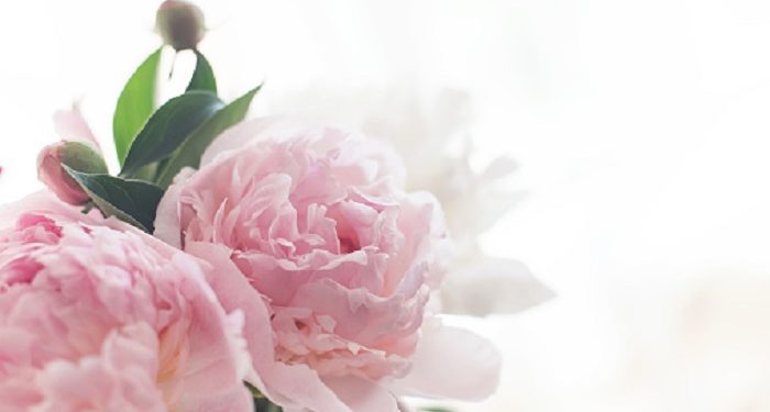 Inspirasi Dari Wanita Hebat Ibunda Al-Fatih