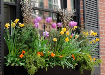 5 Ide Memajang Bunga Hias di Jendela