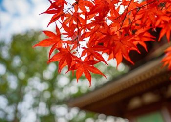 kebaikan tanpa batas