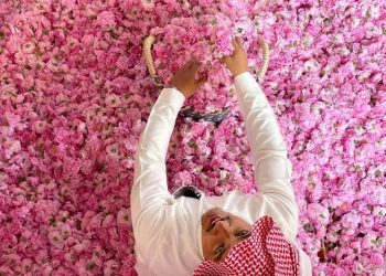 Bunga Mawar Bermekaran di Taif Saat Ramadan