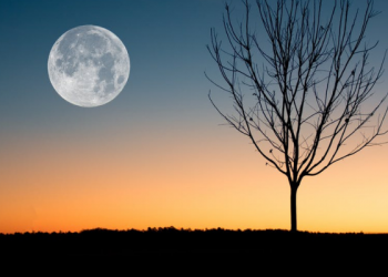 Cara agar Al-Qur’an Meresap ke dalam Hati