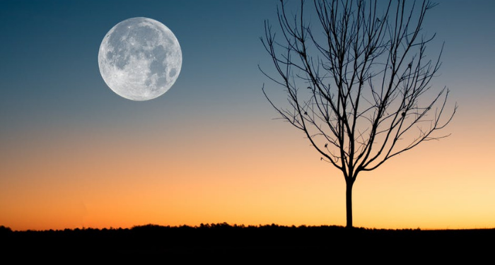 Cara agar Al-Qur’an Meresap ke dalam Hati