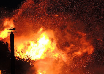 Partai Ummat Mengutuk Keras Serangan Israel