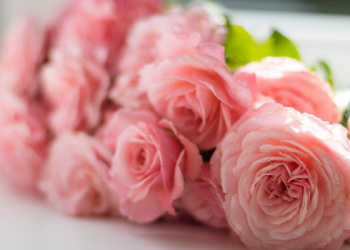 Teliti Kembali Niat Melakukan Kebaikan