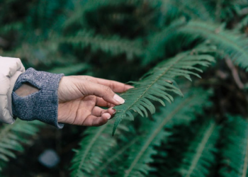 Tafsir Surat Yasin Ayat 36