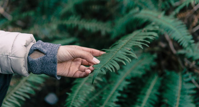 Tafsir Surat Yasin Ayat 36