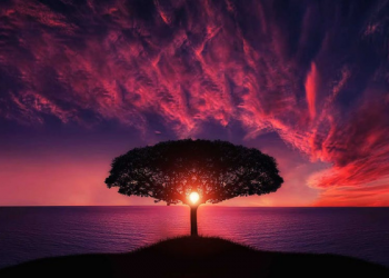 Tafsir Surat Yasin Ayat 79