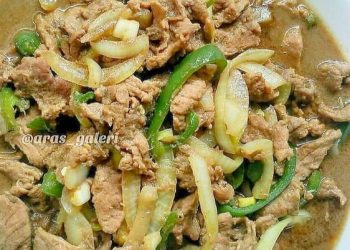 Resep Praktis Membuat Beef Teriyaki